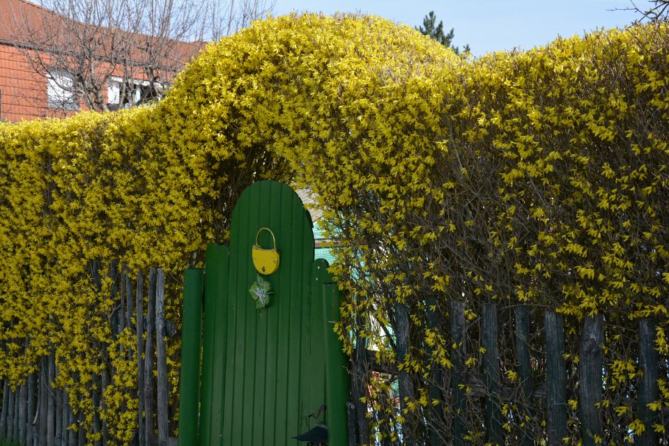 Gartenanlage Kirschberg
