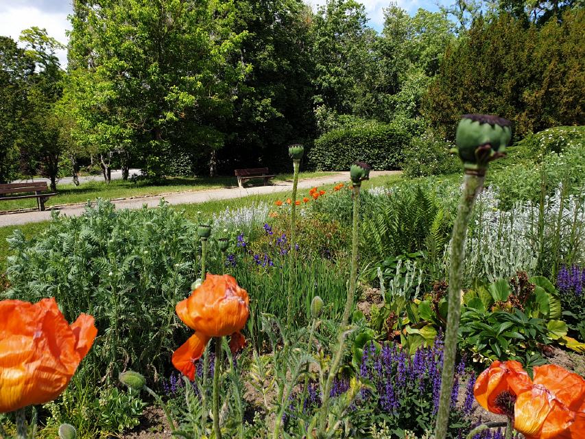 Kleiner Park am Bürgergarten