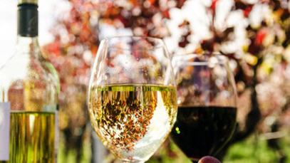 Saale-Weinmeile
